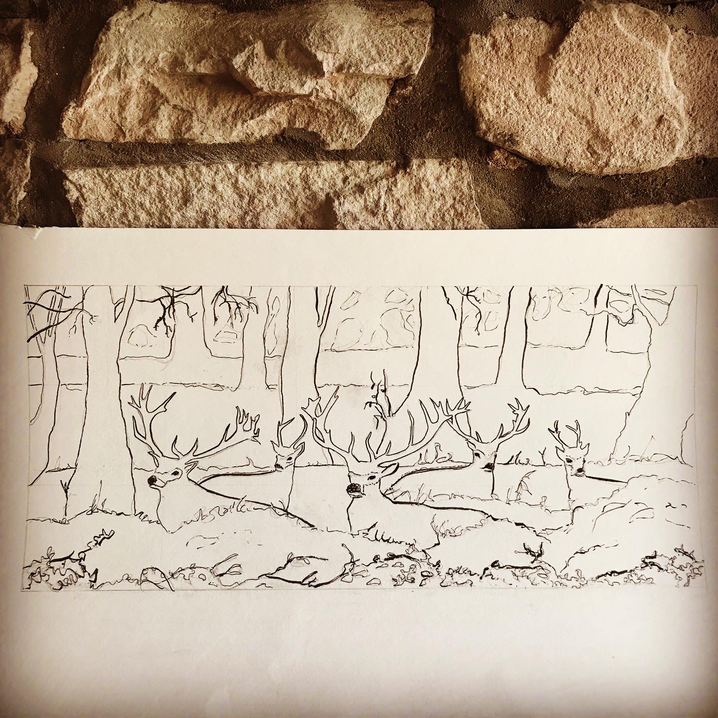 Skirrid Print Studio deer b and w sketch 2