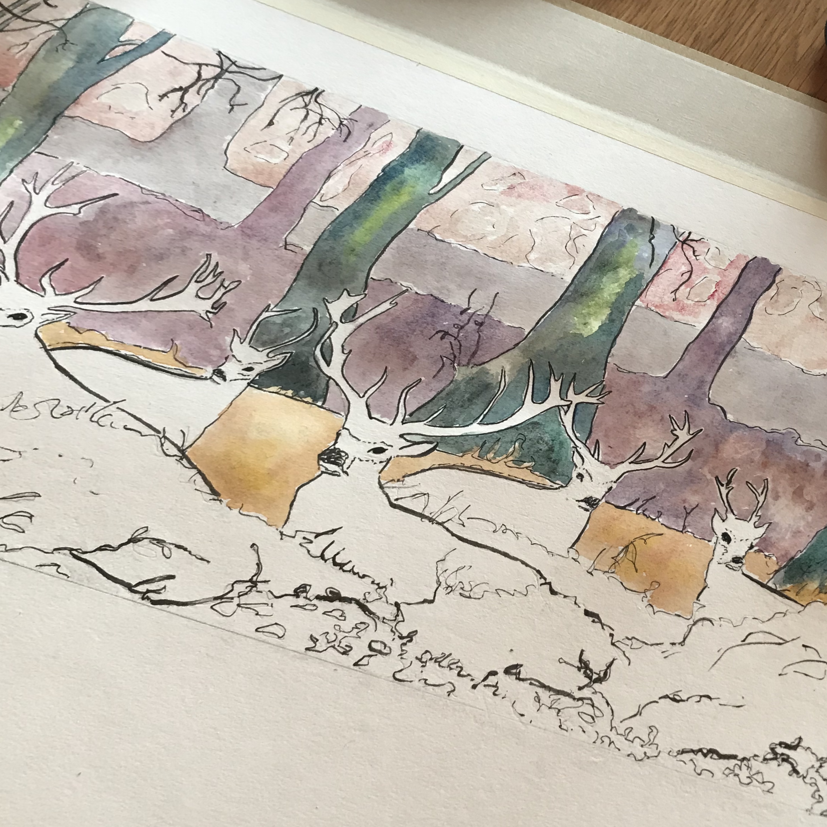 Skirrid Print Studio deer sketch/watercolour1